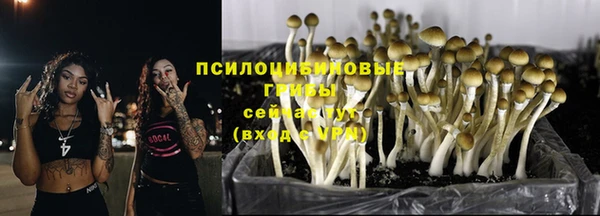 мескалин Касимов