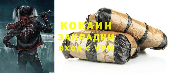 хмурый Карпинск