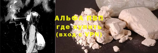 амф Каменка