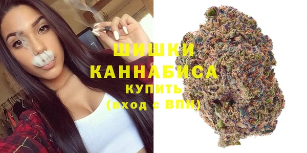 хмурый Карпинск