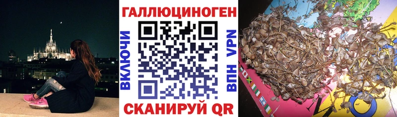 Псилоцибиновые грибы мухоморы  где купить наркоту  Артём 