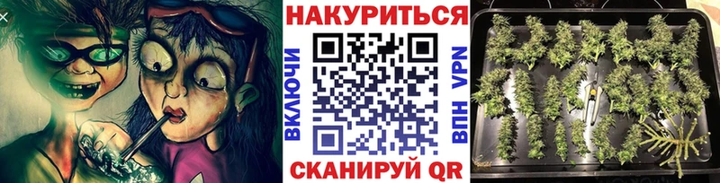 где продают   Артём  Марихуана ГИДРОПОН 